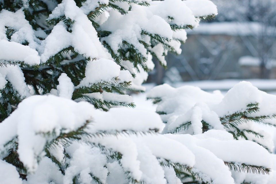 Zimski uvjeti na snazi: Snijeg pada na Sljemenu i u Gorskom kotaru!